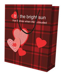 情人節(jié)禮品袋 ,義烏市三楊 mingcheng 彩印工藝品廠